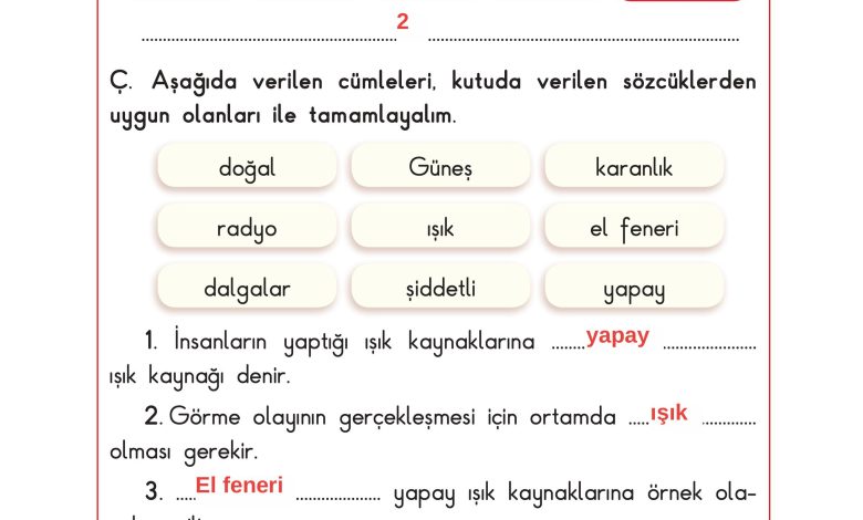 3. Sınıf Sdr Dikey Yayıncılık Fen Bilimleri Ders Kitabı Sayfa 143 Cevapları