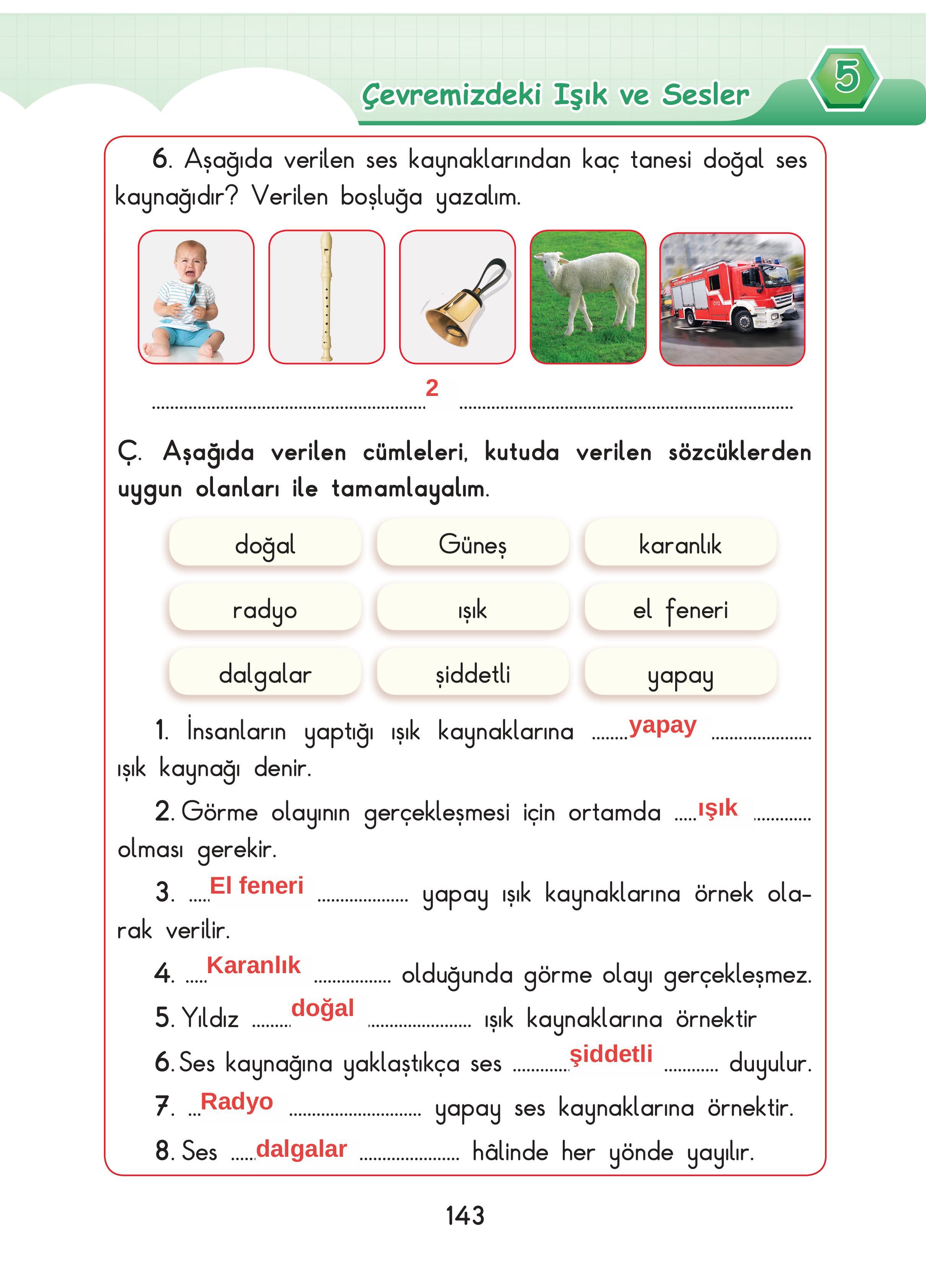 3. Sınıf Sdr Dikey Yayıncılık Fen Bilimleri Ders Kitabı Sayfa 143 Cevapları