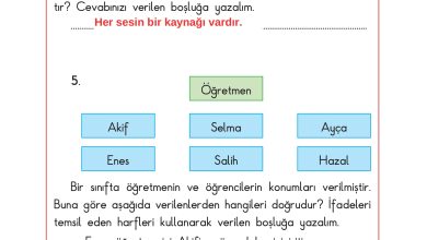 3. Sınıf Sdr Dikey Yayıncılık Fen Bilimleri Ders Kitabı Sayfa 142 Cevapları