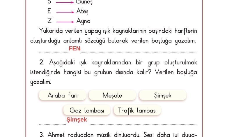 3. Sınıf Sdr Dikey Yayıncılık Fen Bilimleri Ders Kitabı Sayfa 141 Cevapları