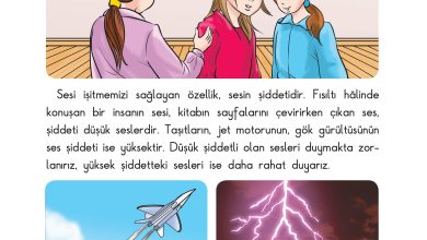 3. Sınıf Sdr Dikey Yayıncılık Fen Bilimleri Ders Kitabı Sayfa 134 Cevapları