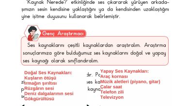 3. Sınıf Sdr Dikey Yayıncılık Fen Bilimleri Ders Kitabı Sayfa 129 Cevapları