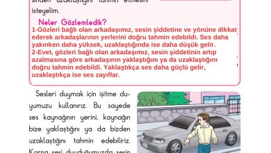 3. Sınıf Sdr Dikey Yayıncılık Fen Bilimleri Ders Kitabı Sayfa 128 Cevapları