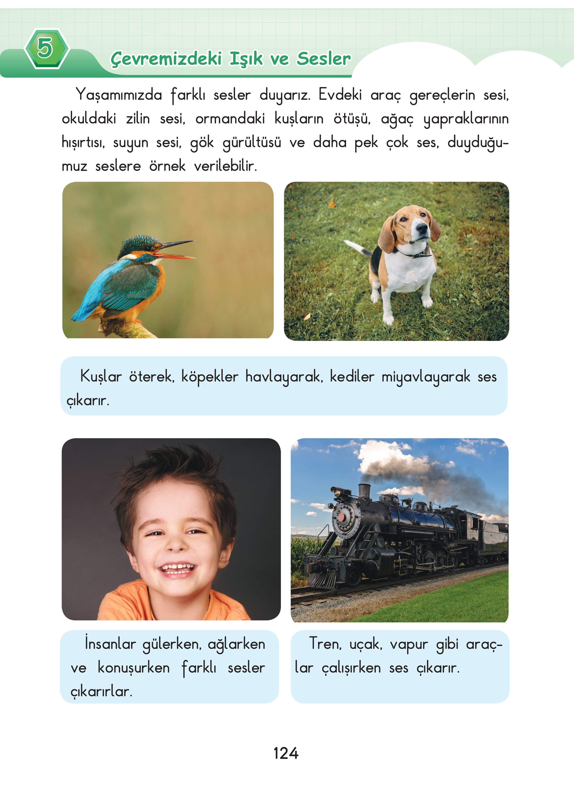 3. Sınıf Sdr Dikey Yayıncılık Fen Bilimleri Ders Kitabı Sayfa 124 Cevapları