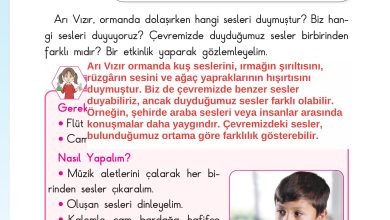 3. Sınıf Sdr Dikey Yayıncılık Fen Bilimleri Ders Kitabı Sayfa 123 Cevapları