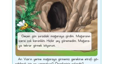 3. Sınıf Sdr Dikey Yayıncılık Fen Bilimleri Ders Kitabı Sayfa 120 Cevapları