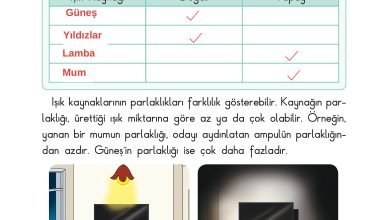 3. Sınıf Sdr Dikey Yayıncılık Fen Bilimleri Ders Kitabı Sayfa 118 Cevapları