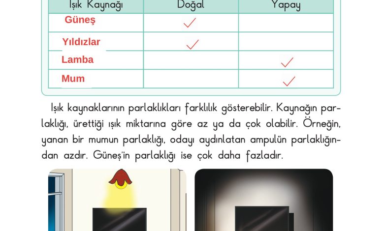 3. Sınıf Sdr Dikey Yayıncılık Fen Bilimleri Ders Kitabı Sayfa 118 Cevapları