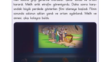 3. Sınıf Sdr Dikey Yayıncılık Fen Bilimleri Ders Kitabı Sayfa 110 Cevapları