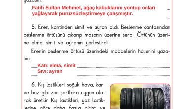 3. Sınıf Sdr Dikey Yayıncılık Fen Bilimleri Ders Kitabı Sayfa 105 Cevapları