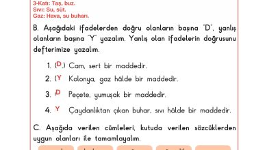 3. Sınıf Sdr Dikey Yayıncılık Fen Bilimleri Ders Kitabı Sayfa 103 Cevapları