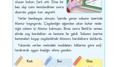 3. Sınıf Sdr Dikey Yayıncılık Fen Bilimleri Ders Kitabı Sayfa 102 Cevapları