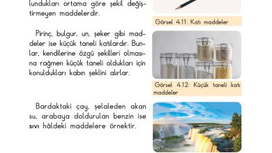 3. Sınıf Sdr Dikey Yayıncılık Fen Bilimleri Ders Kitabı Sayfa 100 Cevapları