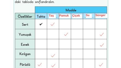 3. Sınıf Sdr Dikey Yayıncılık Fen Bilimleri Ders Kitabı Sayfa 97 Cevapları