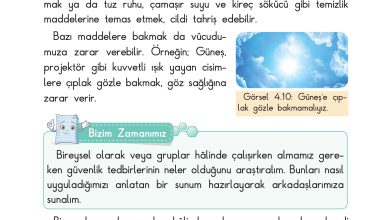 3. Sınıf Sdr Dikey Yayıncılık Fen Bilimleri Ders Kitabı Sayfa 95 Cevapları