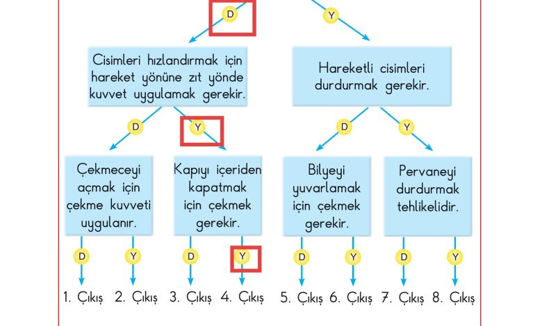 3. Sınıf Sdr Dikey Yayıncılık Fen Bilimleri Ders Kitabı Sayfa 80 Cevapları