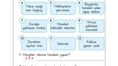 3. Sınıf Sdr Dikey Yayıncılık Fen Bilimleri Ders Kitabı Sayfa 79 Cevapları