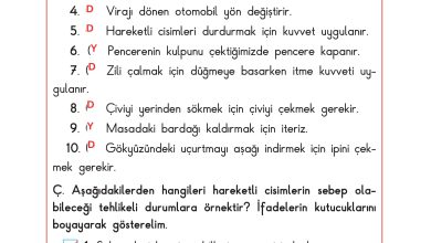 3. Sınıf Sdr Dikey Yayıncılık Fen Bilimleri Ders Kitabı Sayfa 78 Cevapları