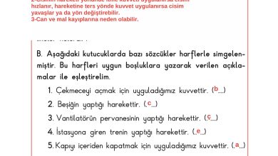 3. Sınıf Sdr Dikey Yayıncılık Fen Bilimleri Ders Kitabı Sayfa 77 Cevapları