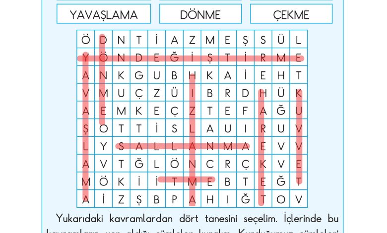 3. Sınıf Sdr Dikey Yayıncılık Fen Bilimleri Ders Kitabı Sayfa 76 Cevapları