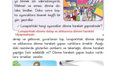 3. Sınıf Sdr Dikey Yayıncılık Fen Bilimleri Ders Kitabı Sayfa 64 Cevapları