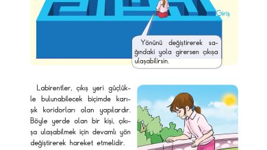 3. Sınıf Sdr Dikey Yayıncılık Fen Bilimleri Ders Kitabı Sayfa 63 Cevapları