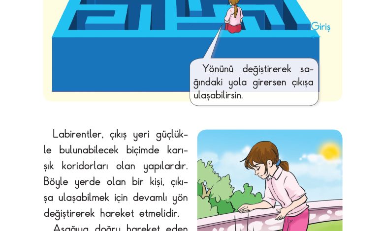 3. Sınıf Sdr Dikey Yayıncılık Fen Bilimleri Ders Kitabı Sayfa 63 Cevapları