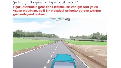 3. Sınıf Sdr Dikey Yayıncılık Fen Bilimleri Ders Kitabı Sayfa 60 Cevapları