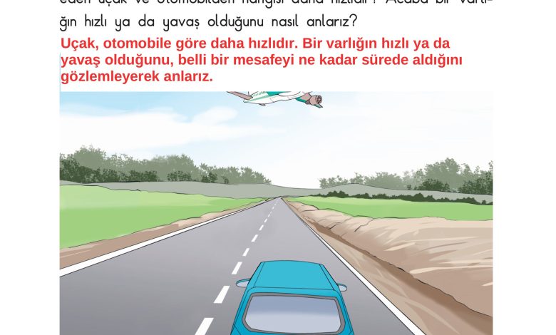 3. Sınıf Sdr Dikey Yayıncılık Fen Bilimleri Ders Kitabı Sayfa 60 Cevapları