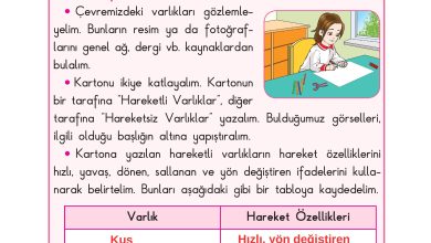 3. Sınıf Sdr Dikey Yayıncılık Fen Bilimleri Ders Kitabı Sayfa 55 Cevapları