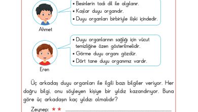 3. Sınıf Sdr Dikey Yayıncılık Fen Bilimleri Ders Kitabı Sayfa 50 Cevapları