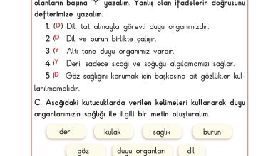 3. Sınıf Sdr Dikey Yayıncılık Fen Bilimleri Ders Kitabı Sayfa 47 Cevapları