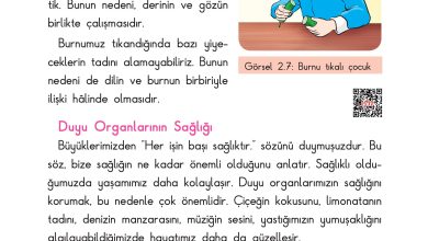 3. Sınıf Sdr Dikey Yayıncılık Fen Bilimleri Ders Kitabı Sayfa 43 Cevapları