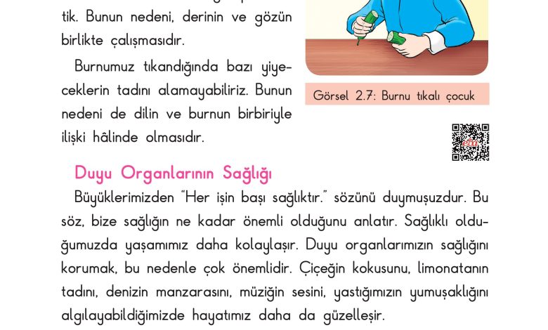 3. Sınıf Sdr Dikey Yayıncılık Fen Bilimleri Ders Kitabı Sayfa 43 Cevapları