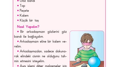 3. Sınıf Sdr Dikey Yayıncılık Fen Bilimleri Ders Kitabı Sayfa 42 Cevapları