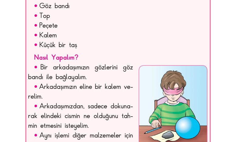 3. Sınıf Sdr Dikey Yayıncılık Fen Bilimleri Ders Kitabı Sayfa 42 Cevapları