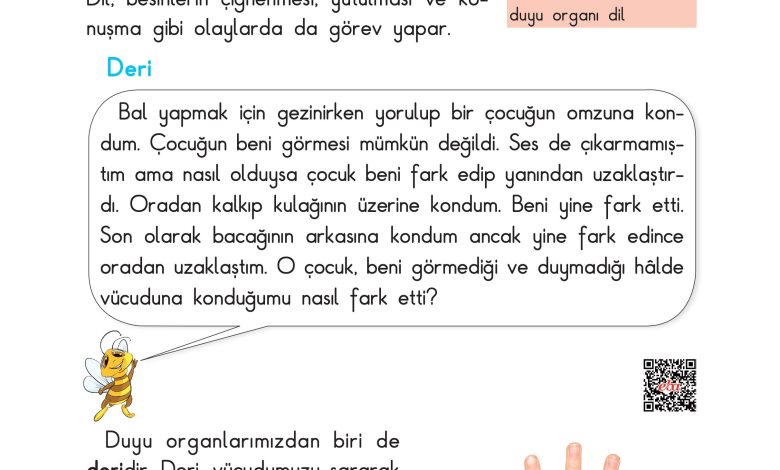 3. Sınıf Sdr Dikey Yayıncılık Fen Bilimleri Ders Kitabı Sayfa 41 Cevapları