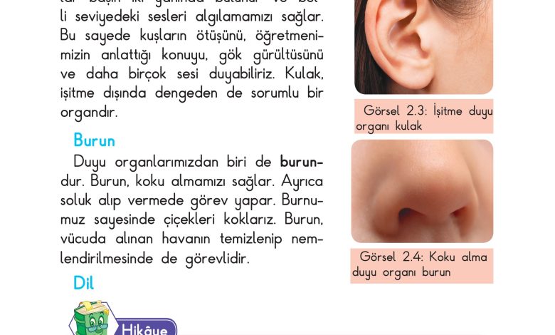 3. Sınıf Sdr Dikey Yayıncılık Fen Bilimleri Ders Kitabı Sayfa 40 Cevapları