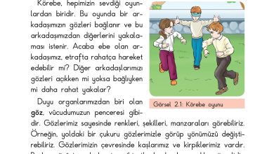 3. Sınıf Sdr Dikey Yayıncılık Fen Bilimleri Ders Kitabı Sayfa 39 Cevapları