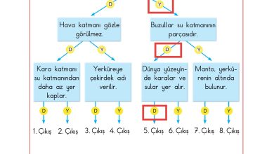 3. Sınıf Sdr Dikey Yayıncılık Fen Bilimleri Ders Kitabı Sayfa 34 Cevapları