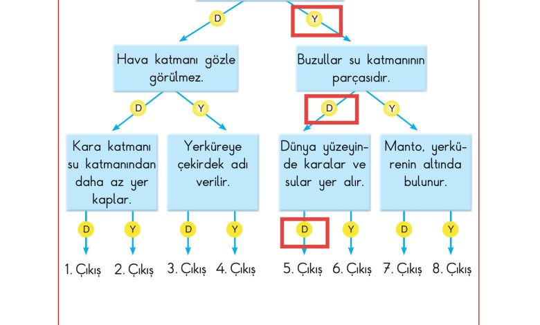 3. Sınıf Sdr Dikey Yayıncılık Fen Bilimleri Ders Kitabı Sayfa 34 Cevapları