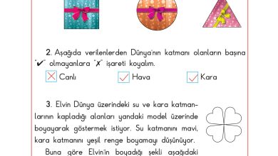 3. Sınıf Sdr Dikey Yayıncılık Fen Bilimleri Ders Kitabı Sayfa 31 Cevapları