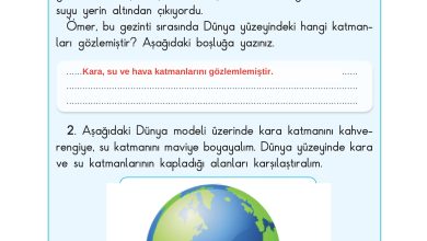 3. Sınıf Sdr Dikey Yayıncılık Fen Bilimleri Ders Kitabı Sayfa 29 Cevapları