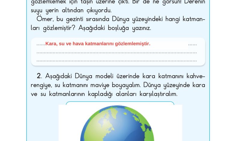 3. Sınıf Sdr Dikey Yayıncılık Fen Bilimleri Ders Kitabı Sayfa 29 Cevapları