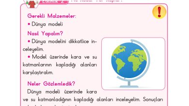 3. Sınıf Sdr Dikey Yayıncılık Fen Bilimleri Ders Kitabı Sayfa 28 Cevapları