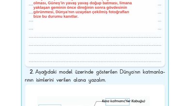 3. Sınıf Sdr Dikey Yayıncılık Fen Bilimleri Ders Kitabı Sayfa 23 Cevapları