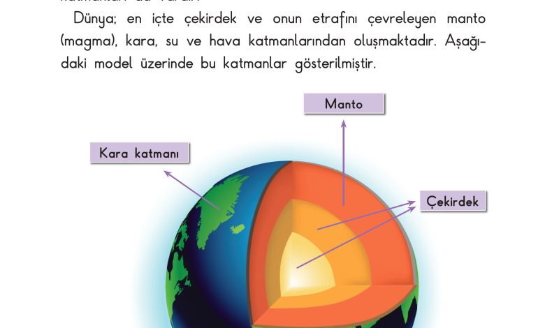 3. Sınıf Sdr Dikey Yayıncılık Fen Bilimleri Ders Kitabı Sayfa 21 Cevapları