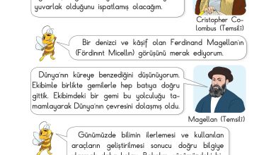 3. Sınıf Sdr Dikey Yayıncılık Fen Bilimleri Ders Kitabı Sayfa 19 Cevapları