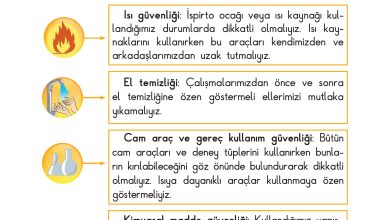 3. Sınıf Sdr Dikey Yayıncılık Fen Bilimleri Ders Kitabı Sayfa 12 Cevapları