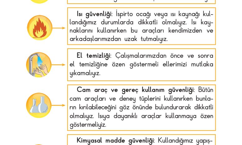 3. Sınıf Sdr Dikey Yayıncılık Fen Bilimleri Ders Kitabı Sayfa 12 Cevapları